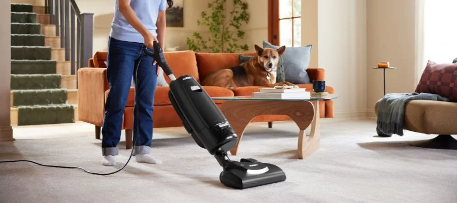 The upright Kirby V530 vacuum is used in a living room, cleaning the carpet beside a dog on the couch.