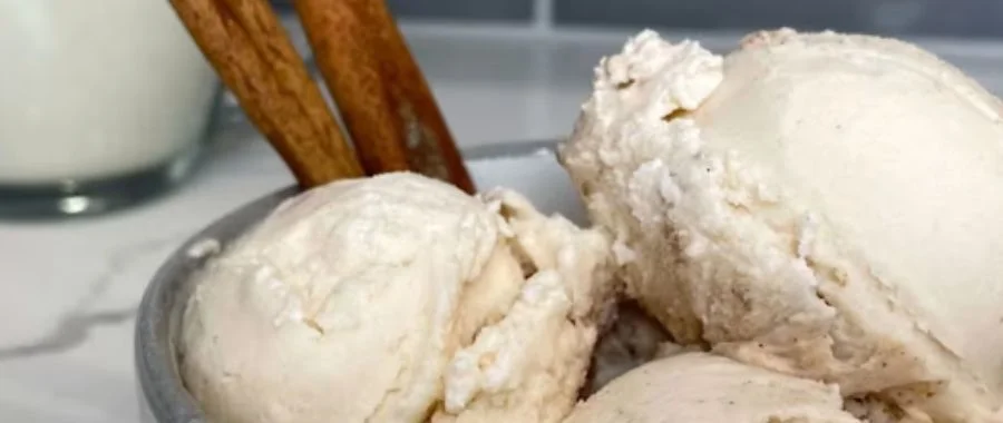 A zoomed in image of a bowl with a few scoops of Ninja Creami eggnog and cinnamon sticks