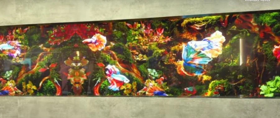 The Samsung CES 2024 transparent TV showing colorful seascape betta fish