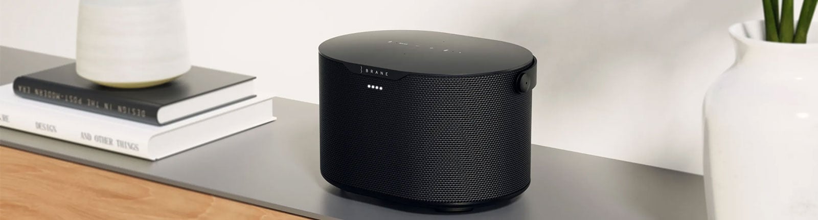 Brane Audio Speaker