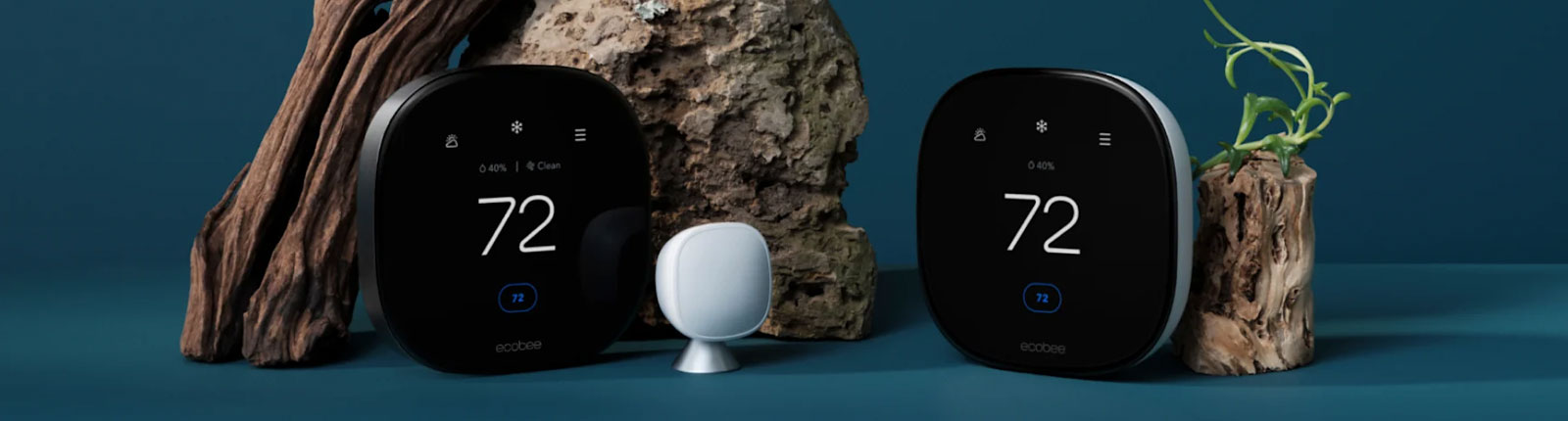 Ecobee lifestyle