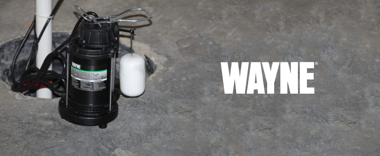 Black wayne sump pump