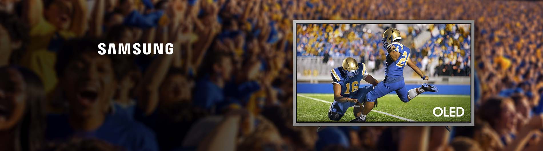 A TV being featured while being surrounded by a crowded stadium