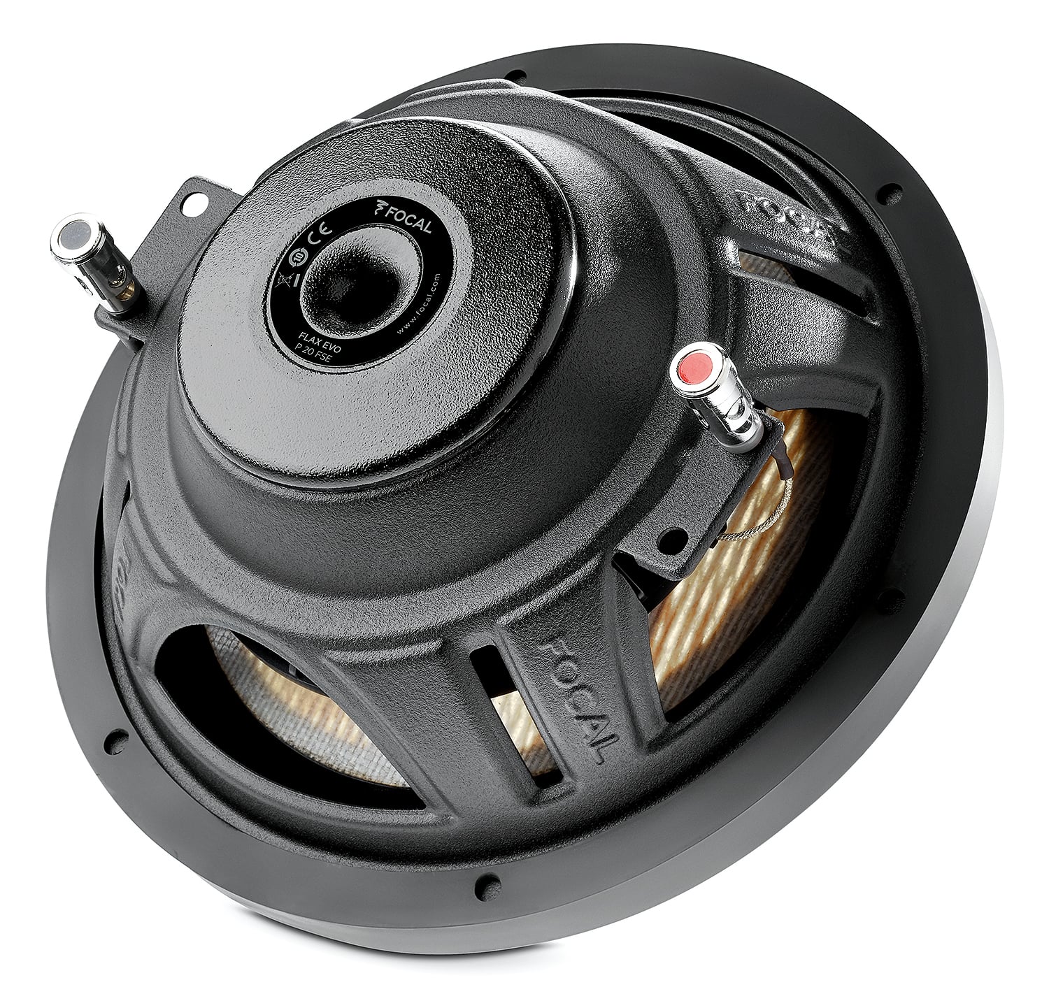 Focal FLAX EVO 8