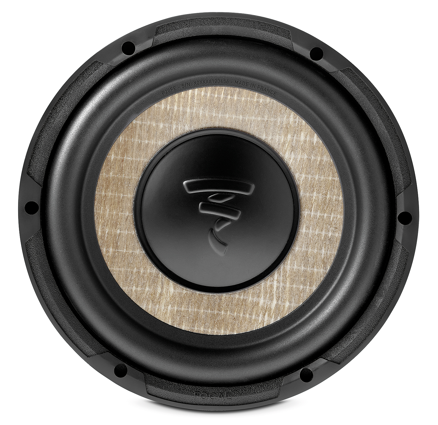 Focal FLAX EVO 8