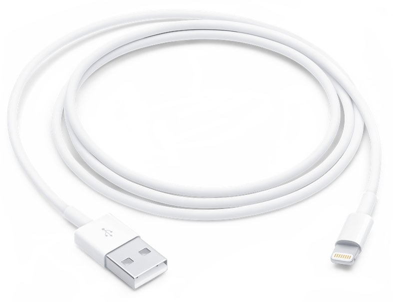 Apple 3.3 Foot Lightning to USB Cable - White (MUQW3AM/A) | Quill