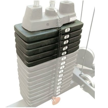DUAL 50 lb. Selectorized Cast Iron Weight Plates