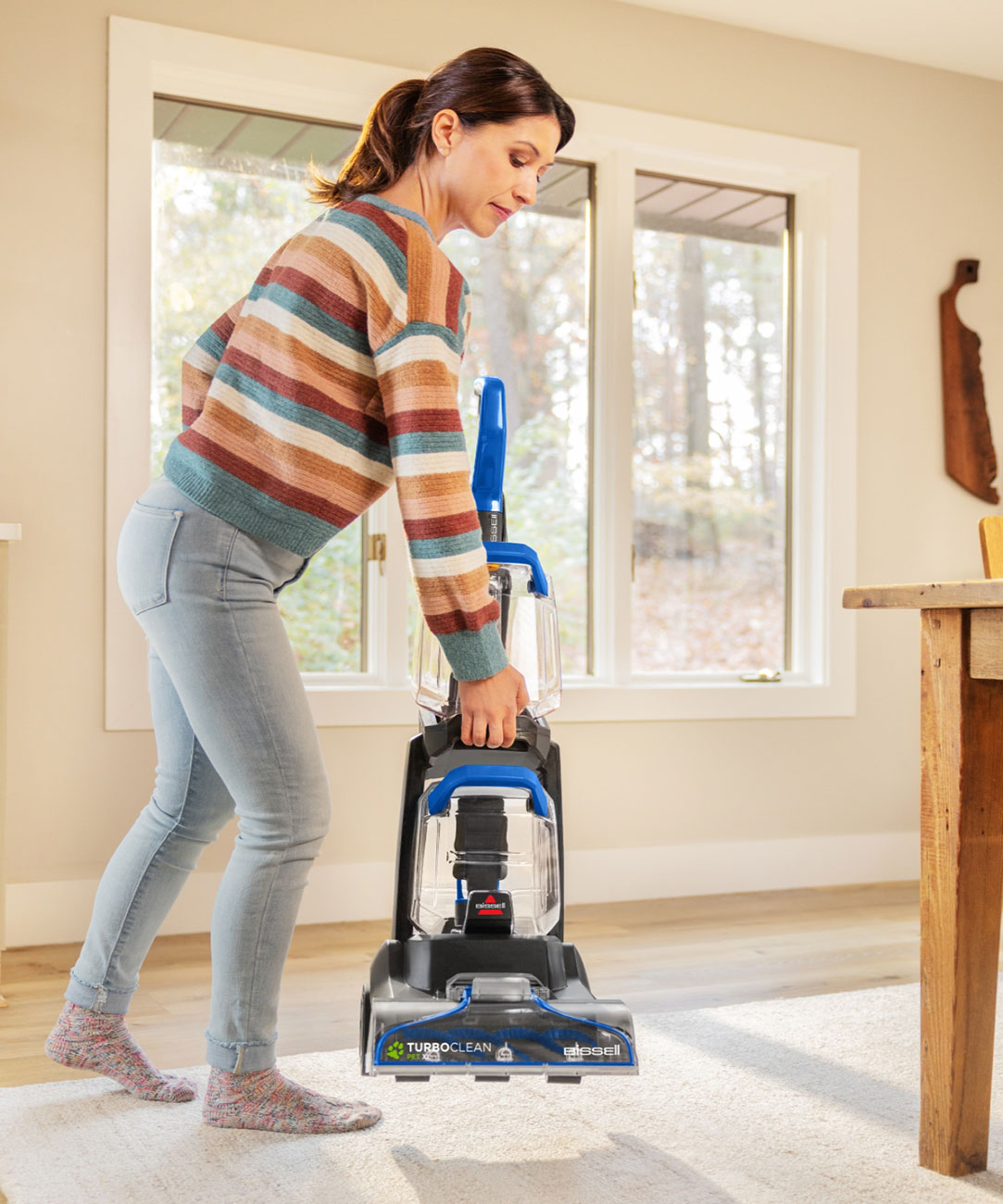 Turbo Carpet Bissell Proheat Pet Heated Cleaning BISSELL Proheat