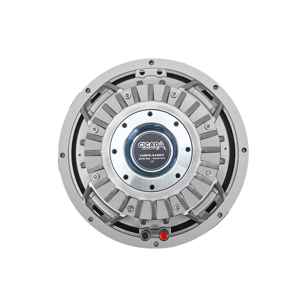Cicada Audio 10