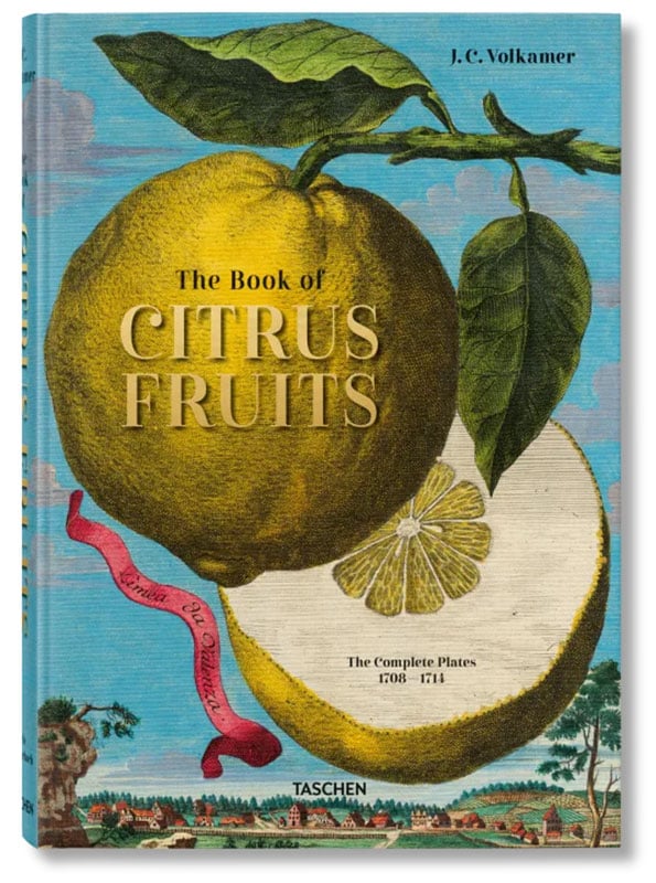 citrus シトラス　art book THEBOOKOFCITRUSFRUITS1_600x.