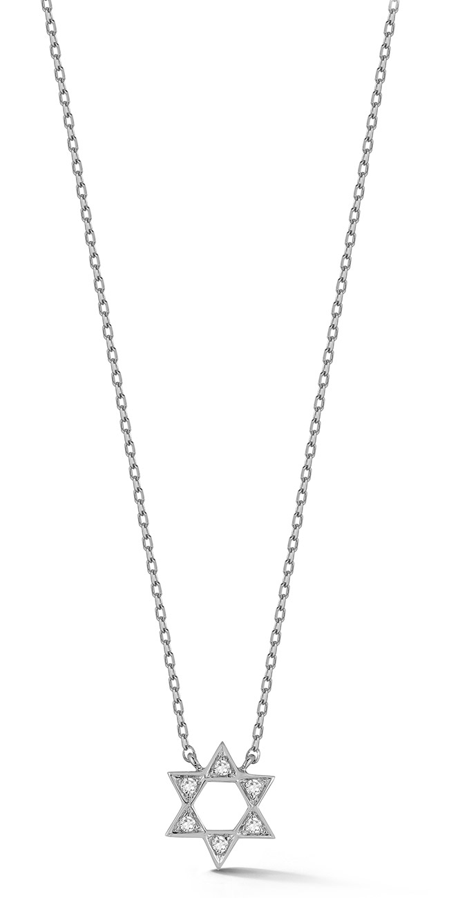 Dana Rebecca Designs DRD Star of David Necklace 18 in 14K White Gold 495$