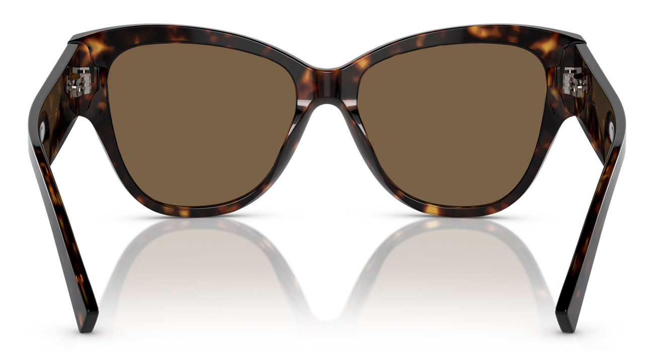 Dolce & Gabbana DG4449 54mm Logo Tortoise Sunglasses