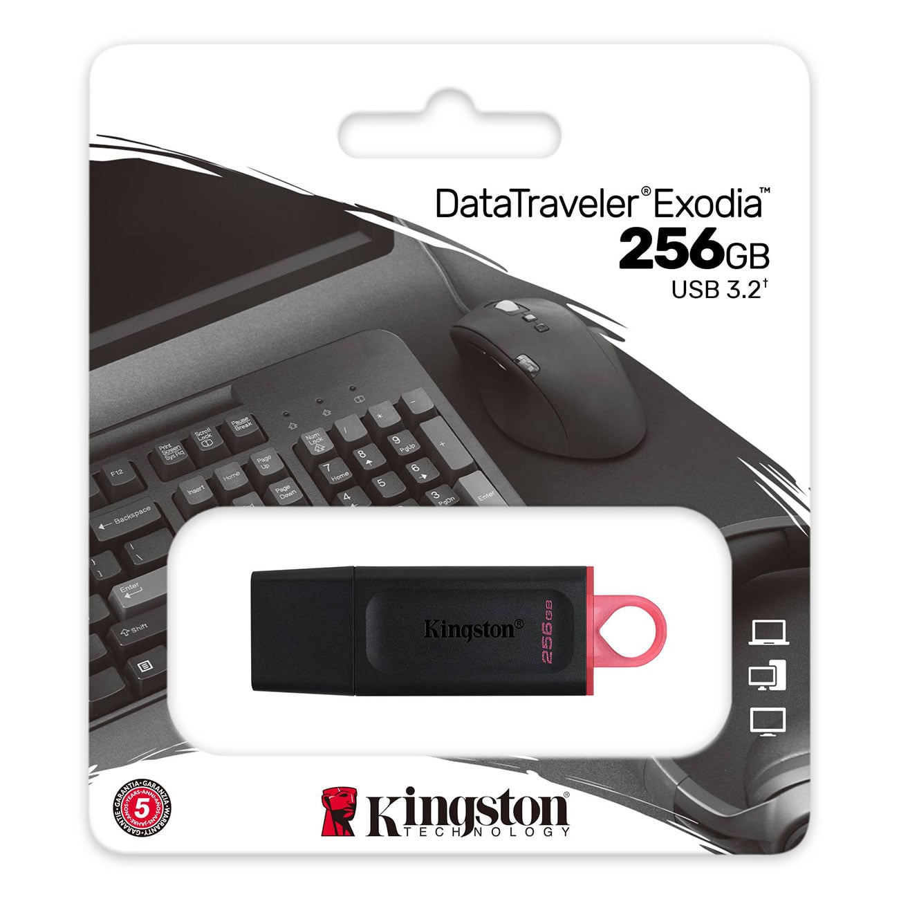 Kingston 256GB DataTraveler USB 3.2 Flash Drive DTX256GB