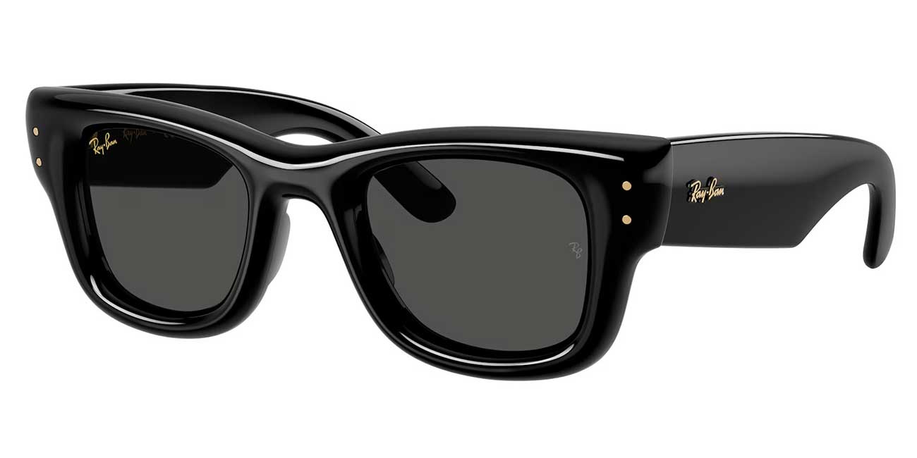 Ray-Ban ASAP Rocky Wayfarer Puffer Sunglasses in Black