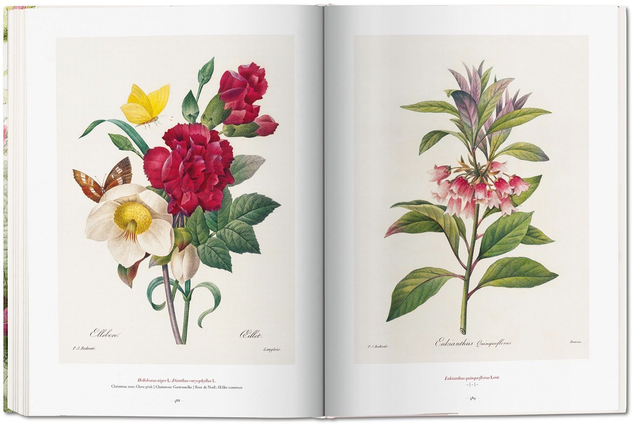 Redoute. The Book of Flowers - TASCHEN-REDOUTE | Abt