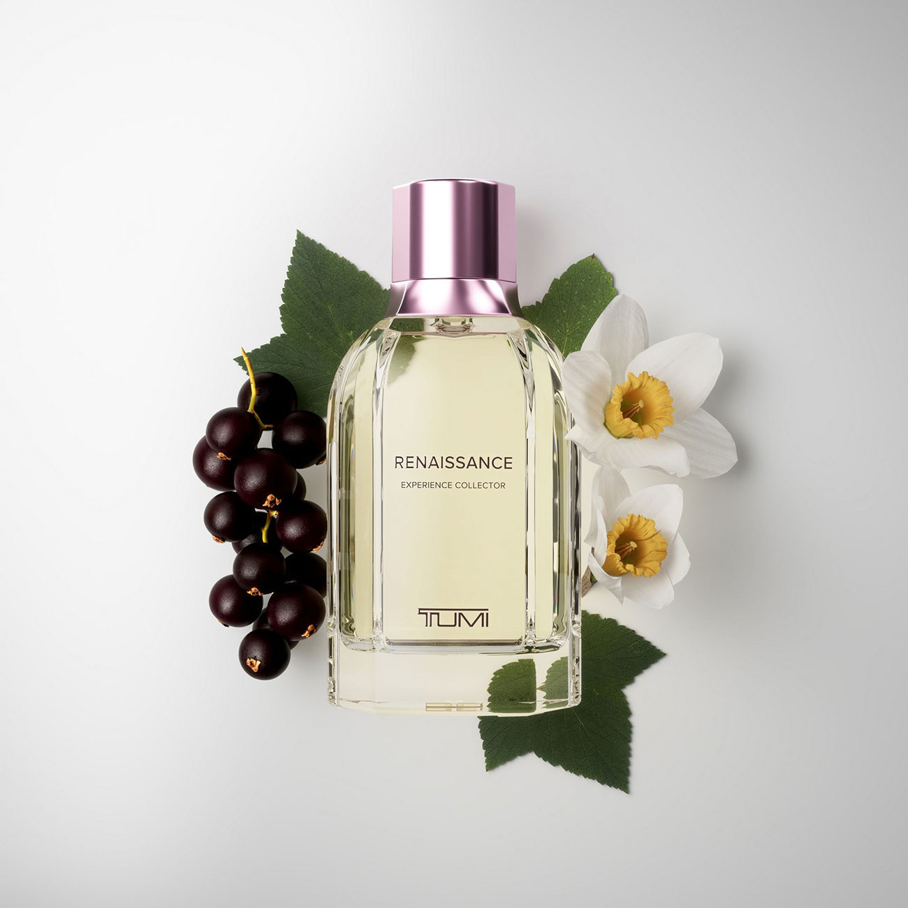 TUMI Renaissance Experience Collector Extrait de Parfum - 1529584482