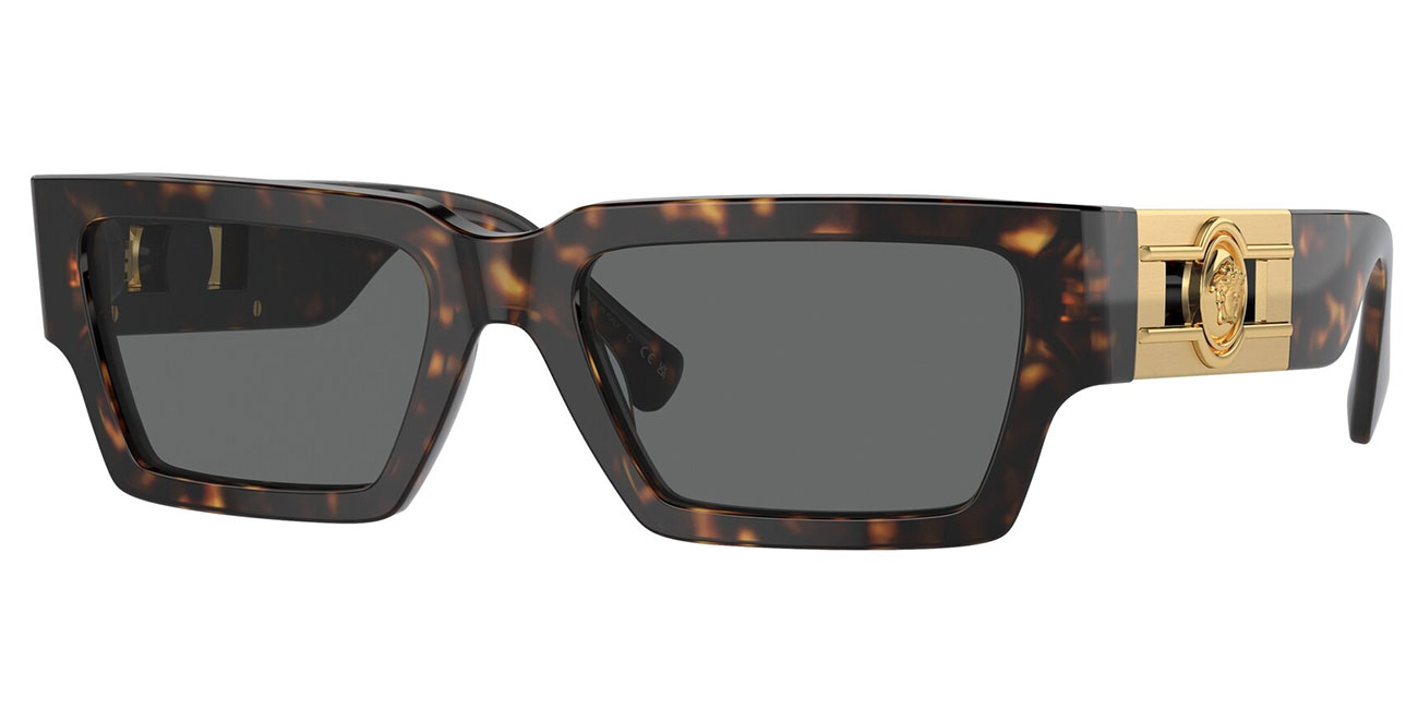 Versace Sunglasses 54mm in Havana|Dark Grey - VE445910887
