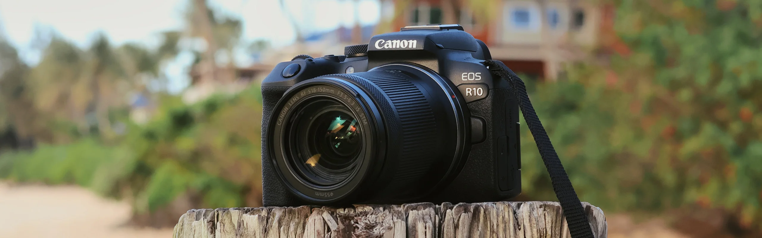 A Canon Eos Camera On a wooden stump