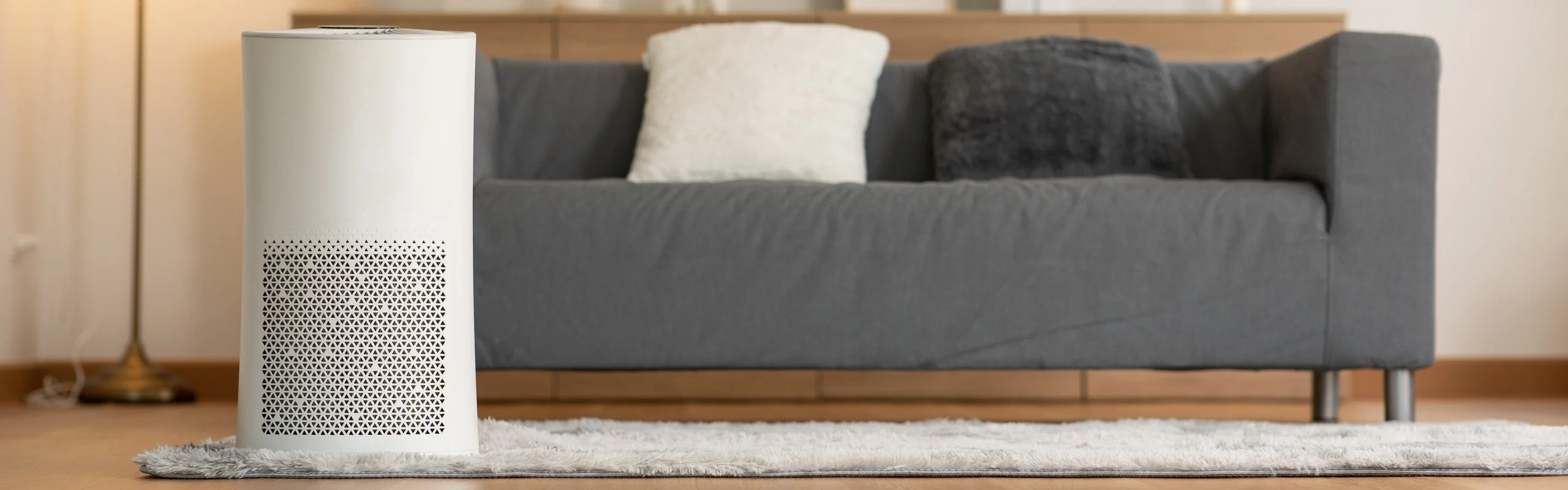 Air purifier next to couch