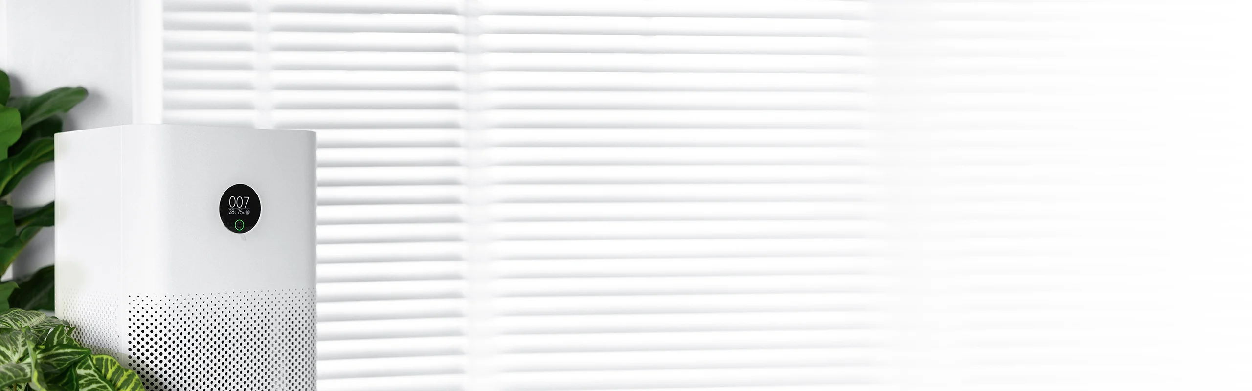 Air Purifier vs. Humidifier Hero Image