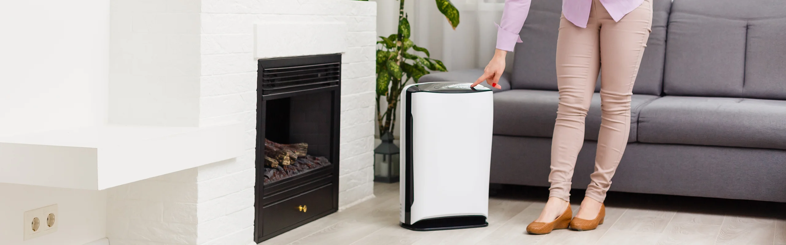 Dehumidifier Buying Guide Hero Image