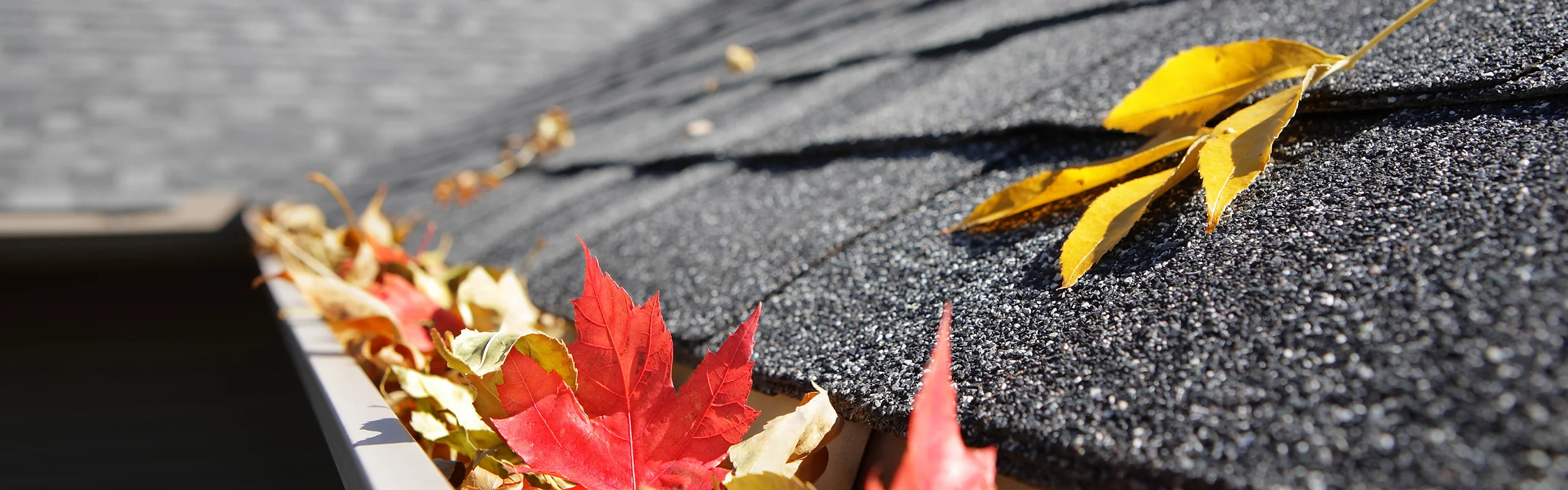 The Ultimate House Maintenance Checklist for Homeowners Hero Image