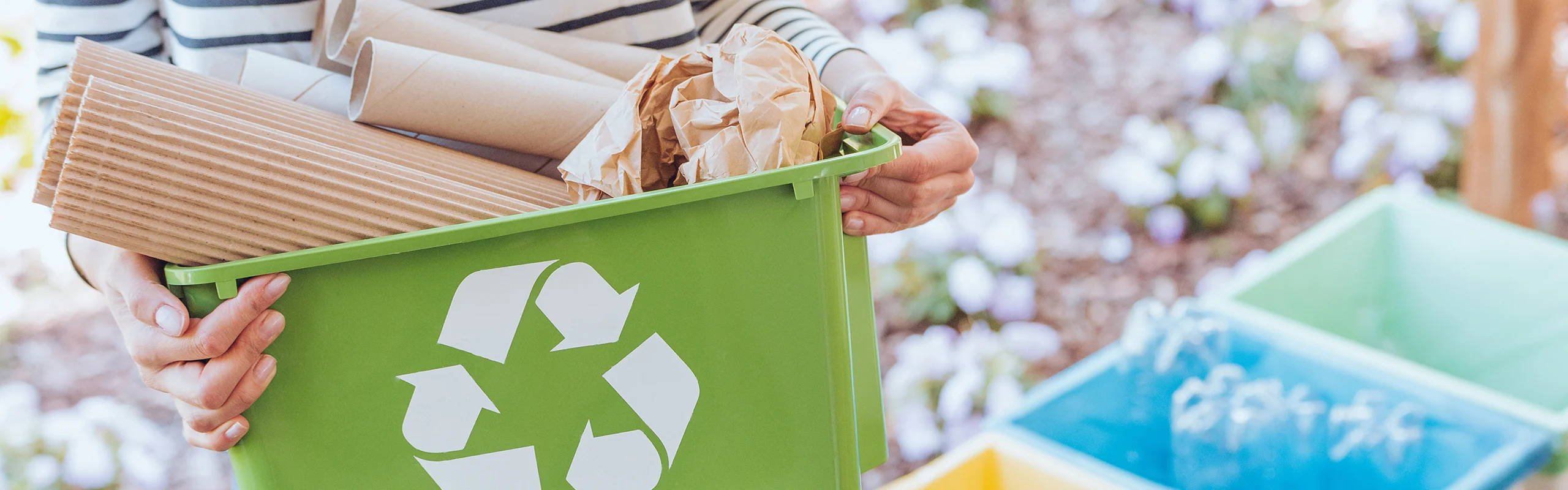 How to Make Your Home More Eco-Friendly Hero Image