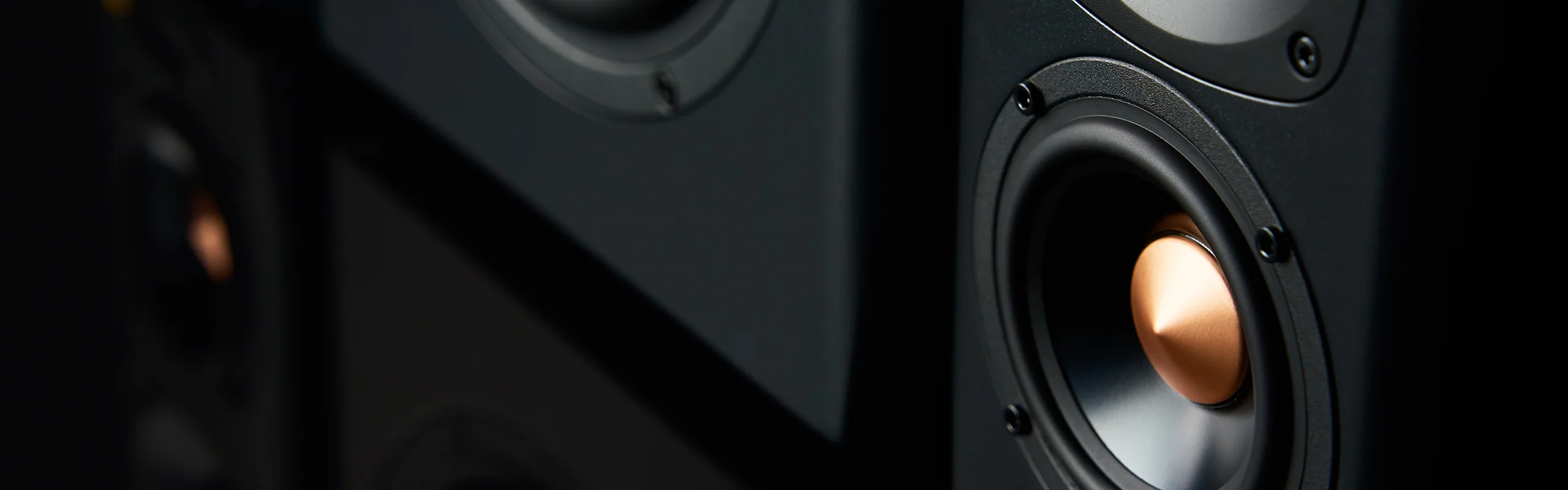 Black subwoofer